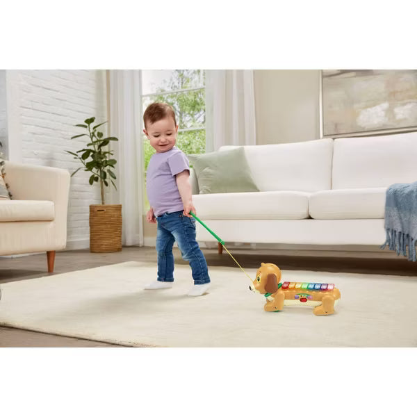 VTech Zoo Jamz Doggy Xylophone – Musical Toddler Toy