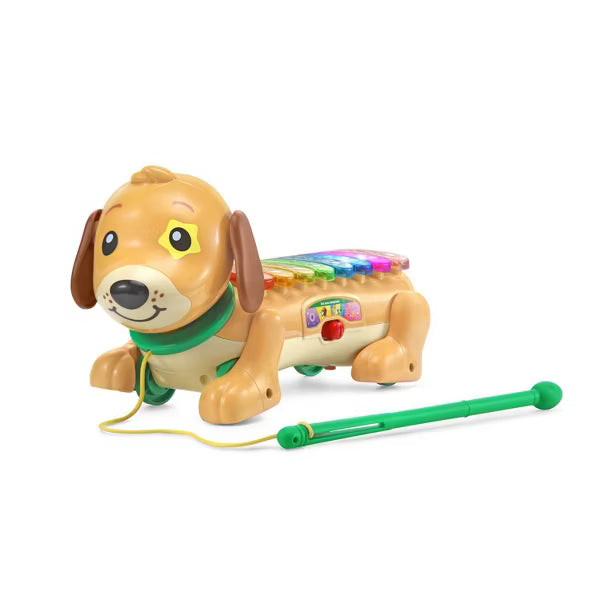 VTech Zoo Jamz Doggy Xylophone – Musical Toddler Toy