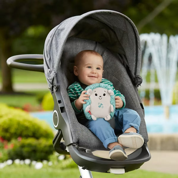 Fisher-Price Calming Vibes Hedgehog – Baby Soother Plush